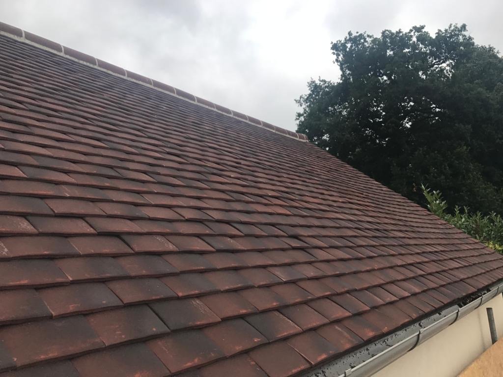 Gutter Cleaning, Repairs, Soffits & Fascias